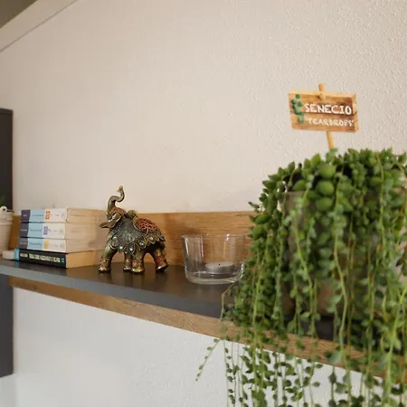 House Nono Apartmán *